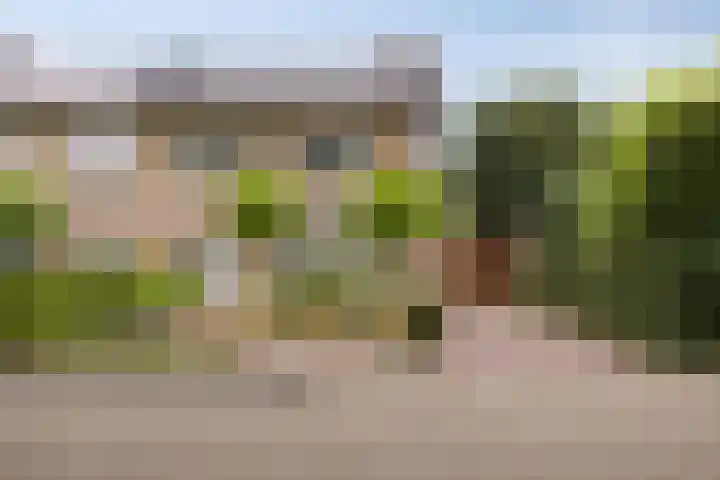 Van Veldekestraat 2 Nuenen thumbnail 51