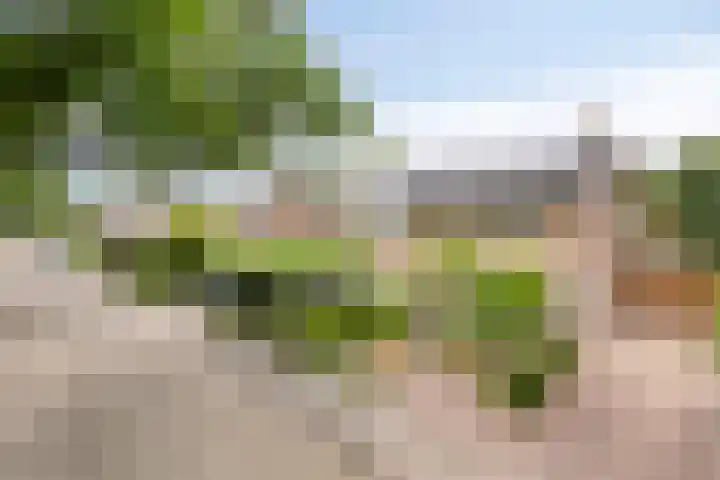 Van Veldekestraat 2 Nuenen thumbnail 52