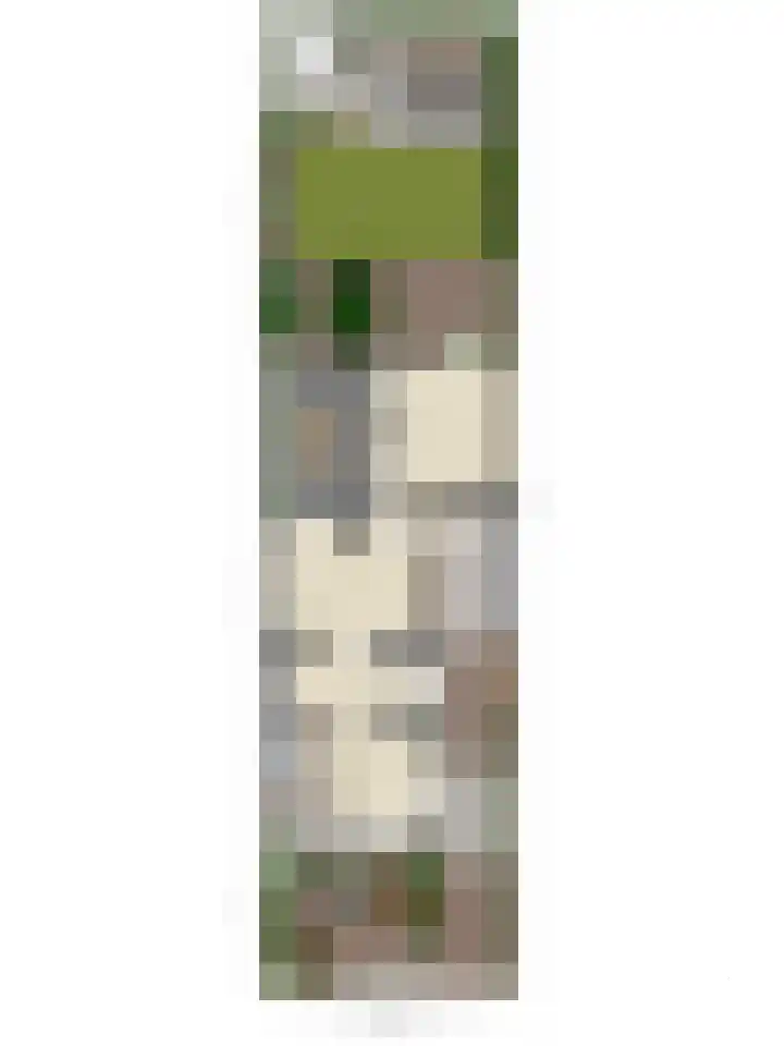 Van Veldekestraat 2 Nuenen thumbnail 55