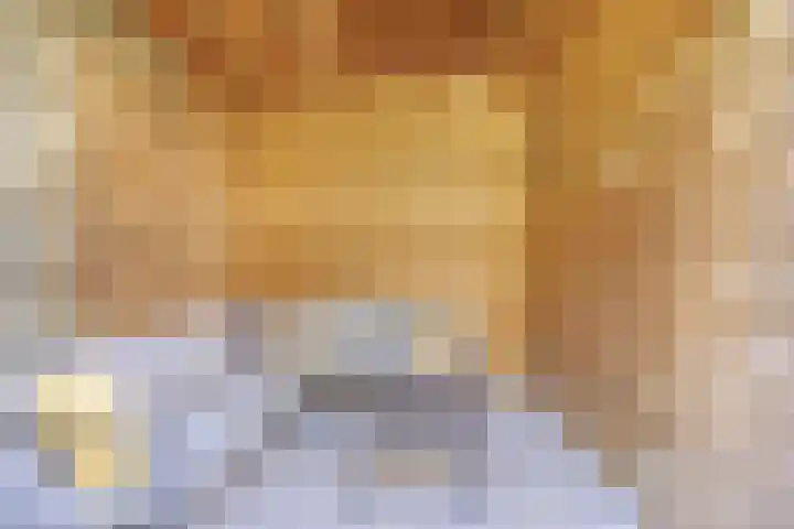 Van Veldekestraat 7 Oss thumbnail 21