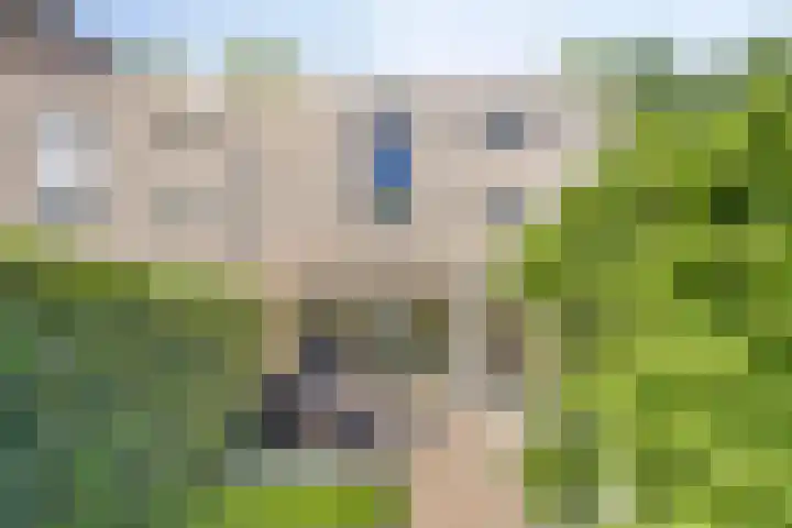 Van Veldekestraat 7 Oss thumbnail 23