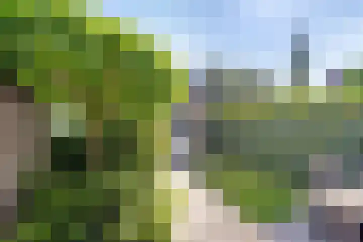Van Veldekestraat 7 Oss thumbnail 24