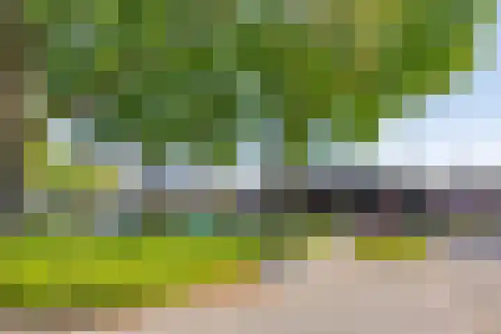 Van Veldekestraat 7 Oss thumbnail 29