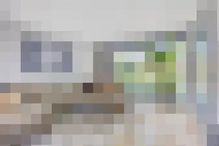 Van Veldekestraat 7 Oss thumbnail 4
