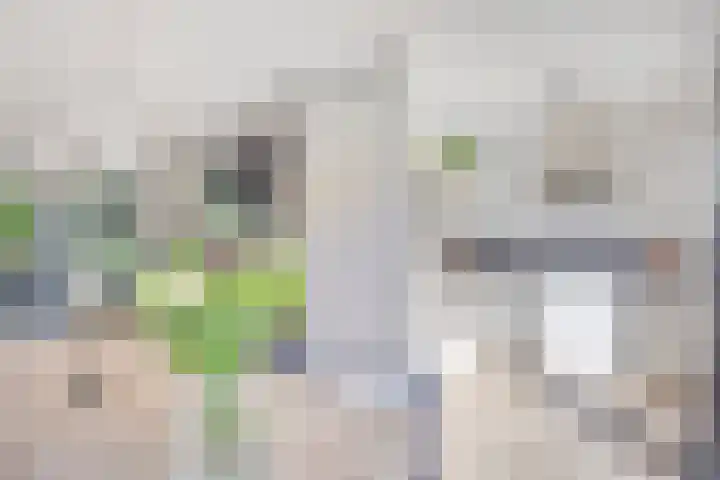 Van Veldekestraat 7 Oss thumbnail 8