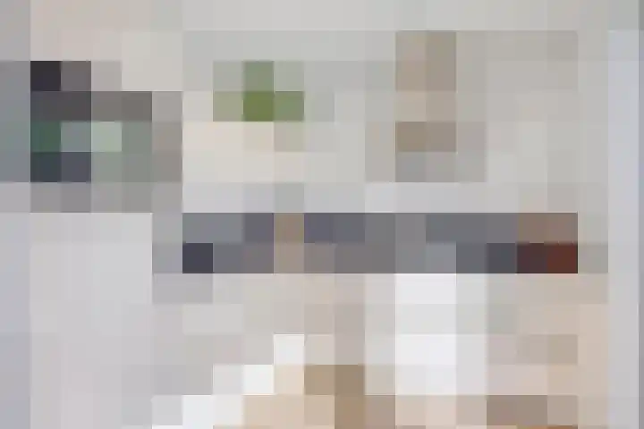 Van Veldekestraat 7 Oss thumbnail 9