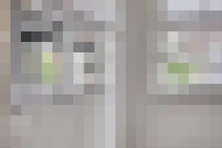 Van Velthuizenerf 14 Veenendaal thumbnail 11