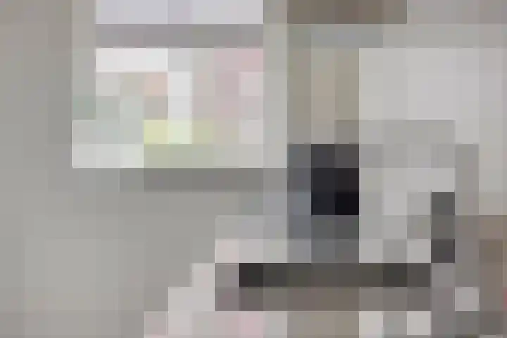 Van Velthuizenerf 14 Veenendaal thumbnail 12