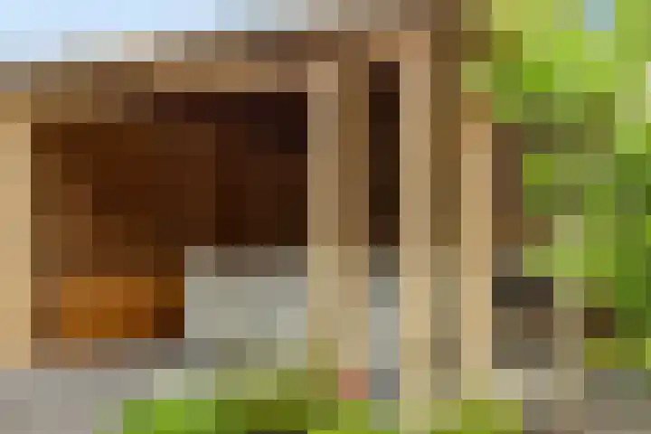 Van Velthuizenerf 14 Veenendaal thumbnail 23