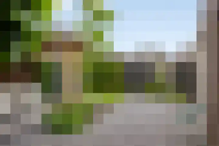 Van Velthuizenerf 14 Veenendaal thumbnail 24