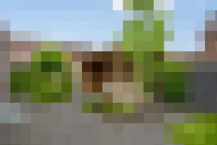 Van Velthuizenerf 14 Veenendaal thumbnail 25