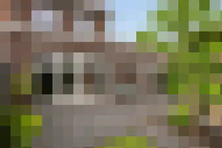 Van Velthuizenerf 14 Veenendaal thumbnail 26