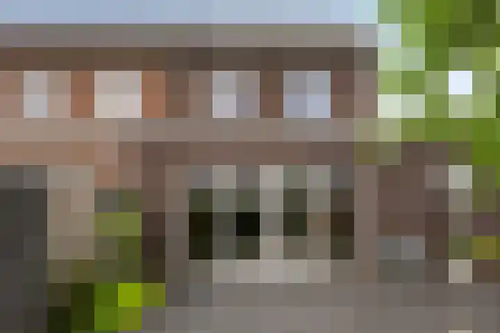 Van Velthuizenerf 14 Veenendaal thumbnail 27