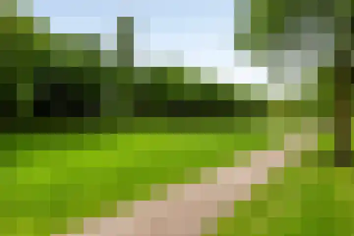 Van Velthuizenerf 14 Veenendaal thumbnail 29