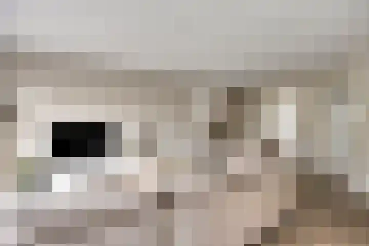 Van Velthuizenerf 14 Veenendaal thumbnail 4