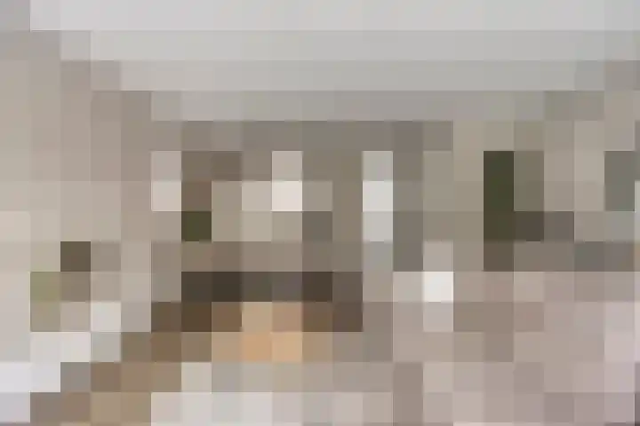 Van Velthuizenerf 14 Veenendaal thumbnail 5