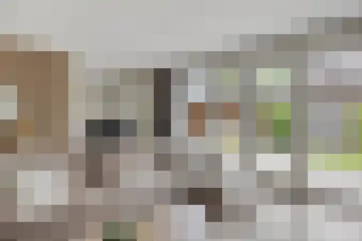 Van Velthuizenerf 14 Veenendaal thumbnail 7