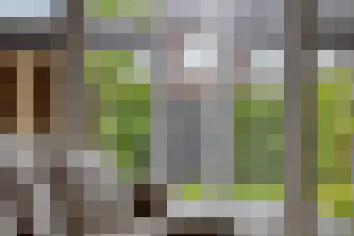 Van Velthuizenerf 14 Veenendaal thumbnail 8