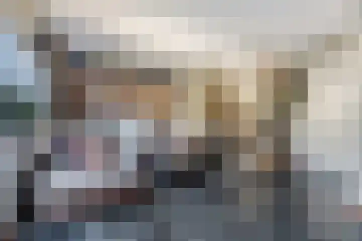 Van Velthuizenerf 8 Veenendaal thumbnail 10