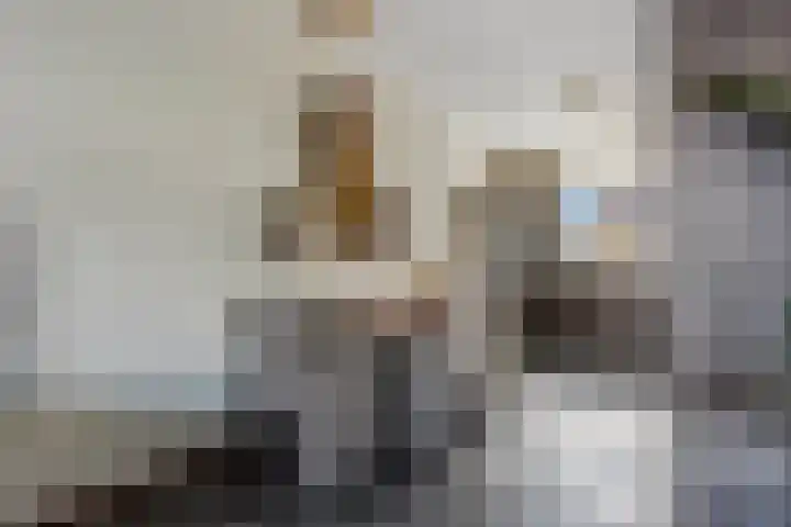 Van Velthuizenerf 8 Veenendaal thumbnail 11