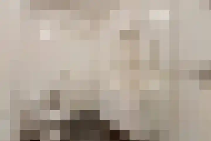 Van Velthuizenerf 8 Veenendaal thumbnail 22