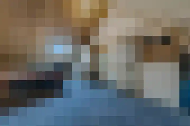 Van Velthuizenerf 8 Veenendaal thumbnail 23