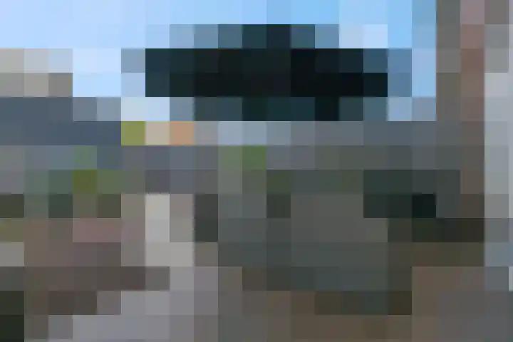 Van Velthuizenerf 8 Veenendaal thumbnail 25