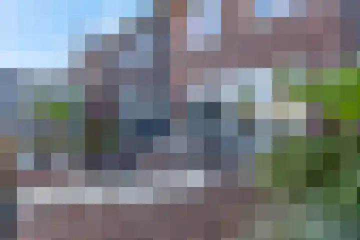Van Velthuizenerf 8 Veenendaal thumbnail 30