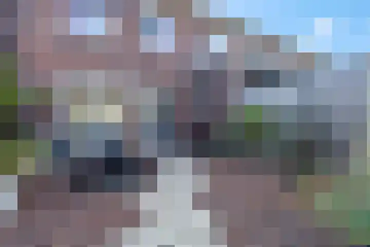 Van Velthuizenerf 8 Veenendaal thumbnail 31