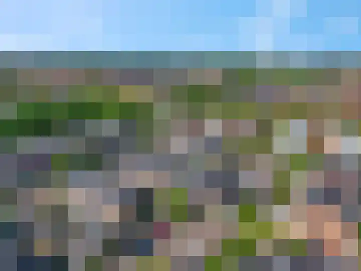 Van Velthuizenerf 8 Veenendaal thumbnail 36