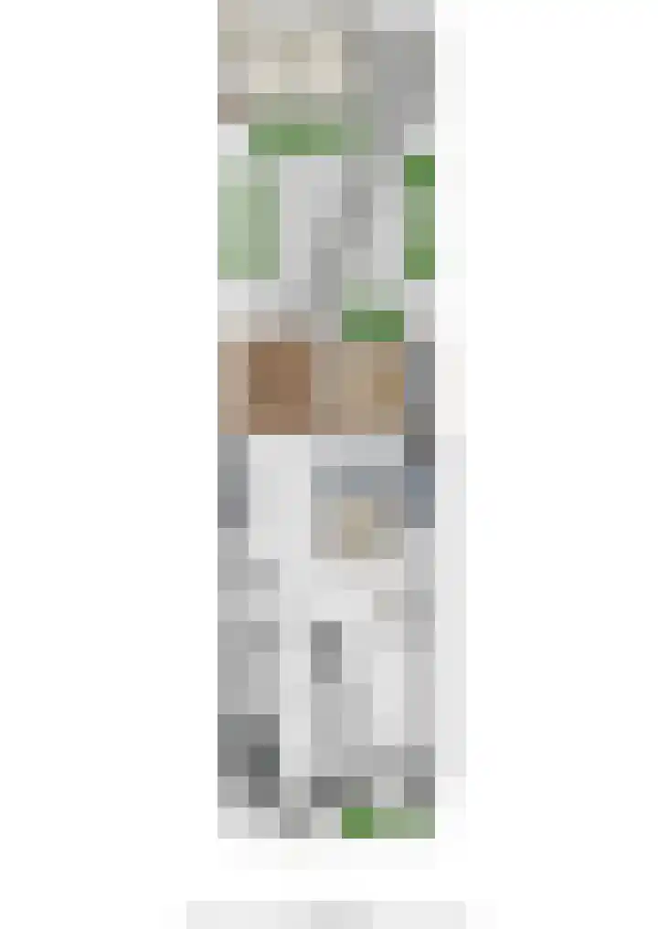 Van Velthuizenerf 8 Veenendaal thumbnail 37