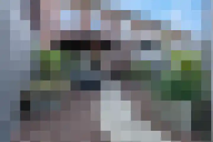 Van Velthuizenerf 8 Veenendaal thumbnail 4