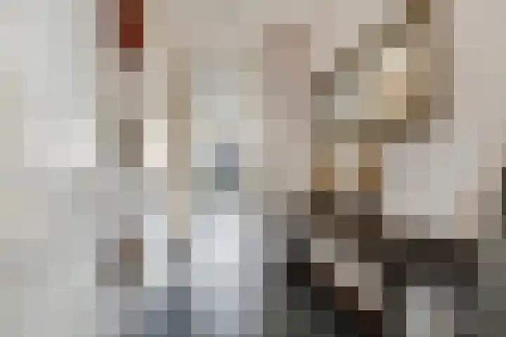 Van Velthuizenerf 8 Veenendaal thumbnail 7