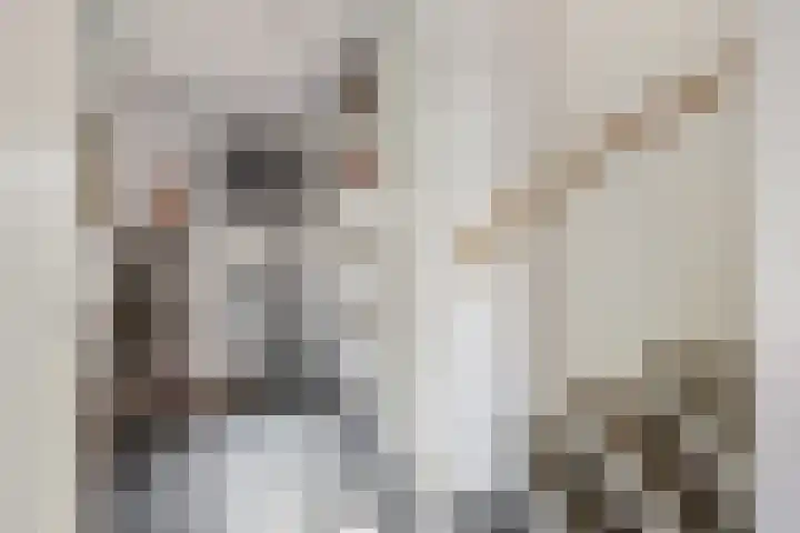 Van Velthuizenerf 8 Veenendaal thumbnail 8