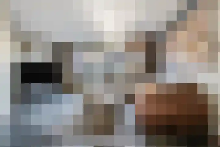 Van Velthuizenerf 8 Veenendaal thumbnail 9