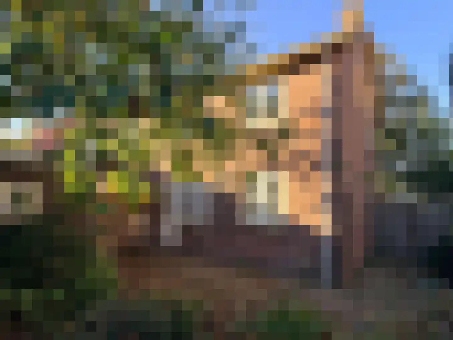 van Velzenstraat 25 Wervershoof thumbnail 22