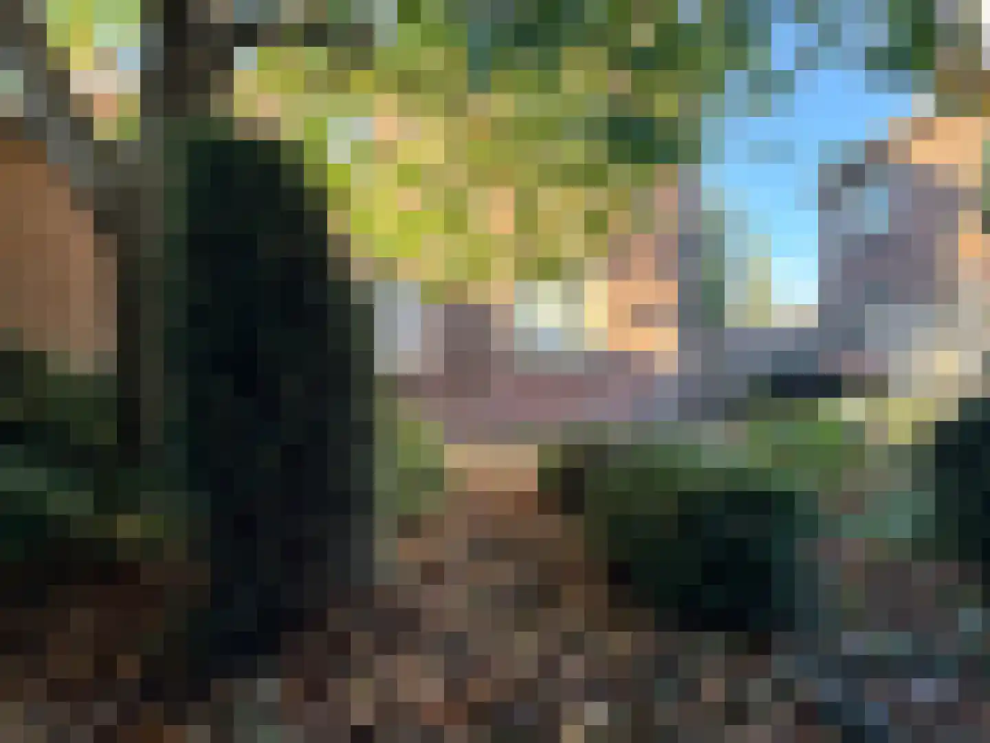van Velzenstraat 25 Wervershoof thumbnail 26