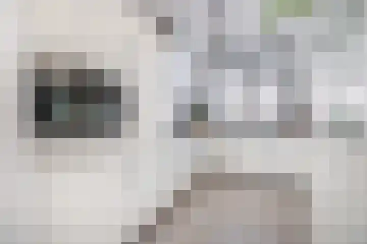 van Vessemstraat 13 Waalwijk thumbnail 11