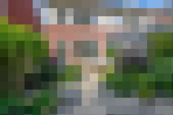 van Vessemstraat 13 Waalwijk thumbnail 17