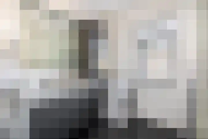 van Vessemstraat 13 Waalwijk thumbnail 23