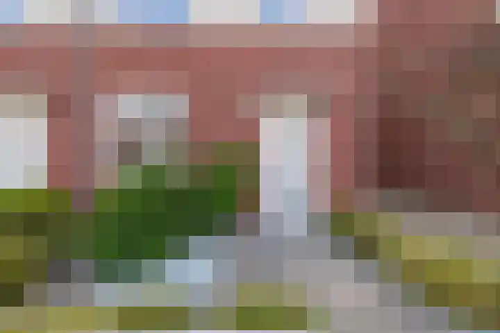 van Vessemstraat 13 Waalwijk thumbnail 4