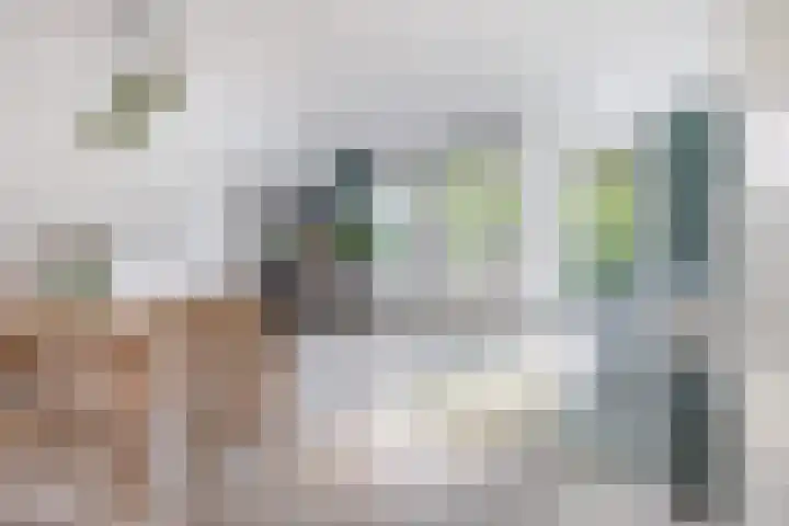 van Vessemstraat 13 Waalwijk thumbnail 5
