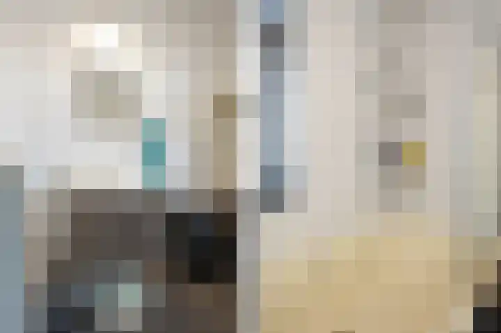van Vessemstraat 17 Waalwijk thumbnail 11