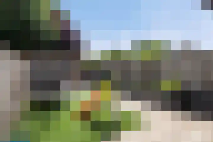 van Vessemstraat 17 Waalwijk thumbnail 18