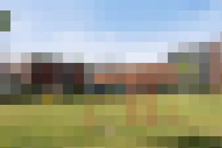 van Vessemstraat 17 Waalwijk thumbnail 23