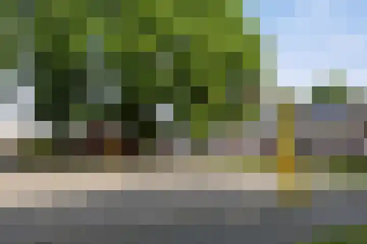 van Vessemstraat 17 Waalwijk thumbnail 24