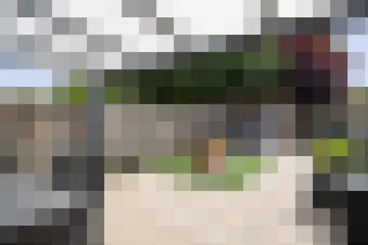 van Vessemstraat 17 Waalwijk thumbnail 4