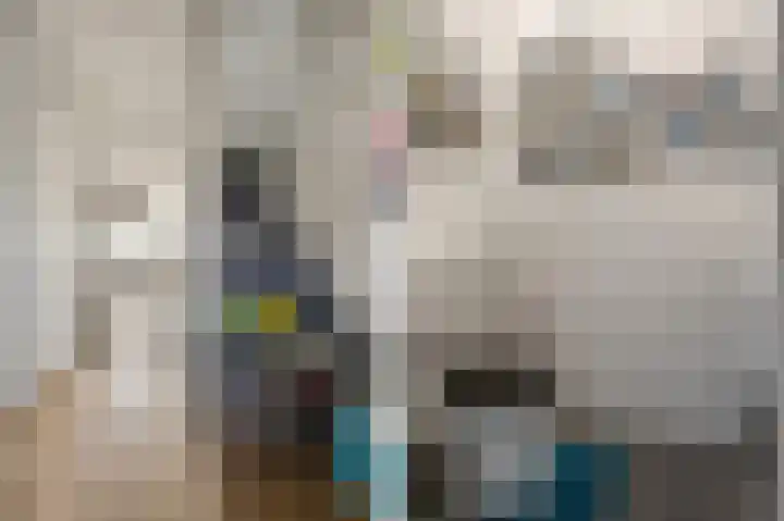 van Vessemstraat 17 Waalwijk thumbnail 5