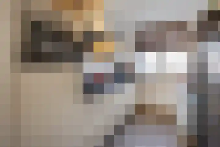 van Vessemstraat 17 Waalwijk thumbnail 8