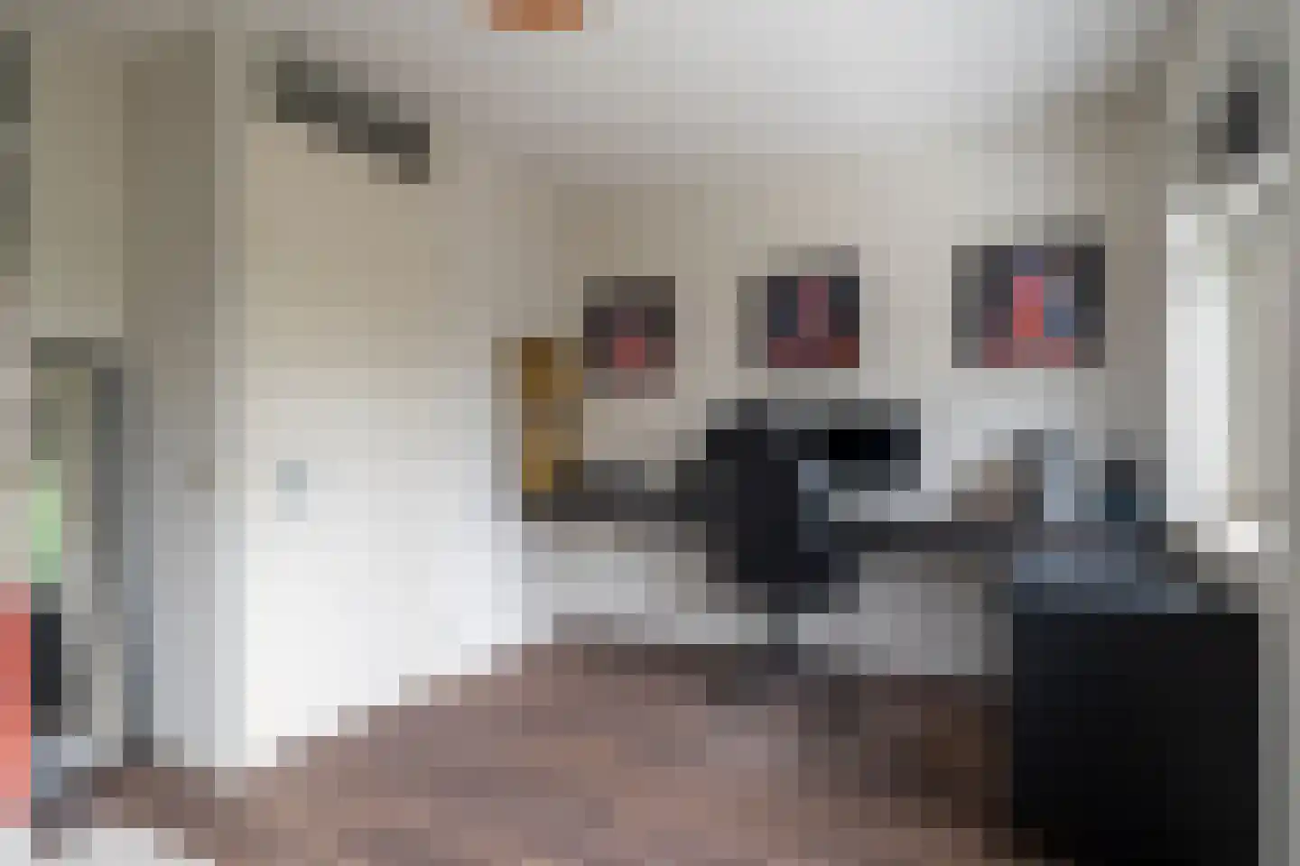 van Vessemstraat 23 Waalwijk thumbnail 15